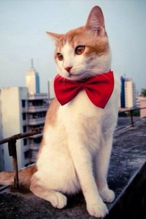 ɽۿൺִŶ:йǻ۸ۿػ