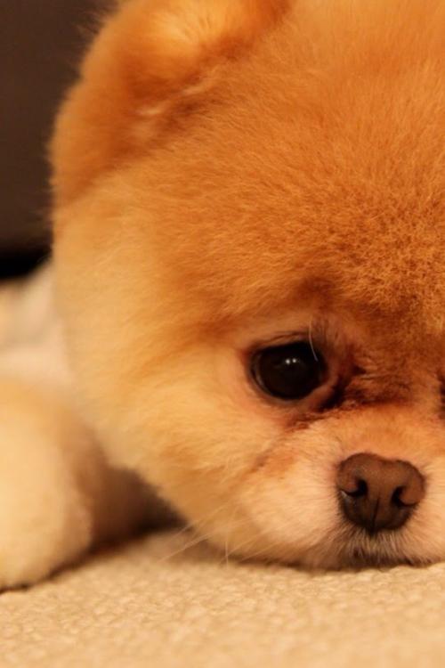 ֯ȫۼ¹ȷﲡ79673754